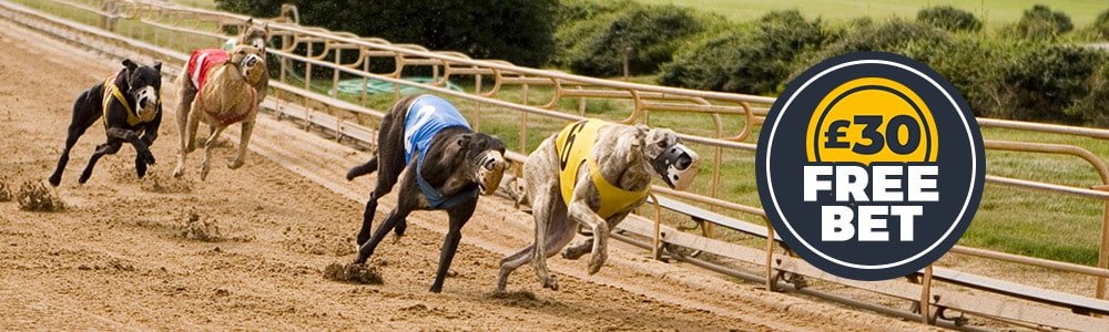 Mobile Wins Sports | Greyhound Races | 30 Free Bet