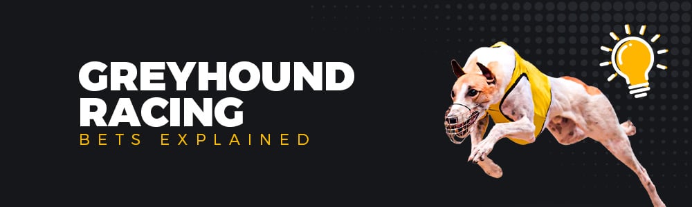 Mobile Wins Casino | Blog | Greyhound Racing | Bets Explained