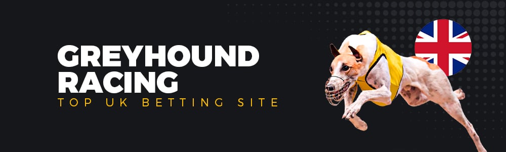 Mobile Wins Casino | Blog | Greyhound Racing | UK Betting