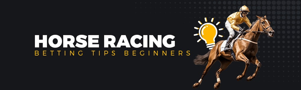 Mobile Wins Casino | Blog | Horse Racing | Betting Tips for Beginners
